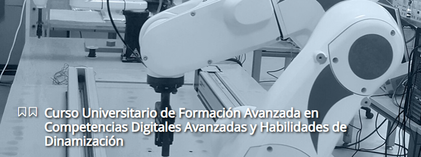 Curso universitario de dinamizadores